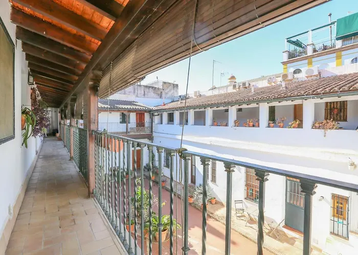 Apartment Alameda De Hercules (adults Only) *